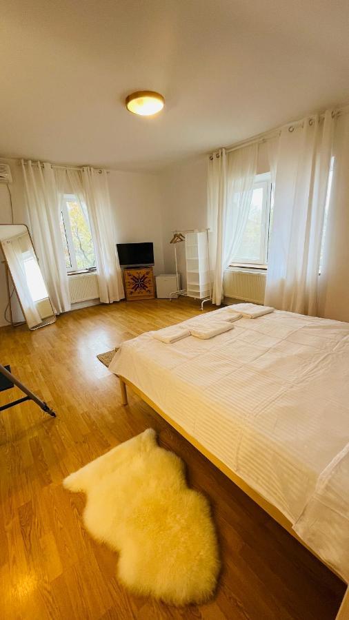 Biolocalia House Dobrogea Apartment Балотещи Екстериор снимка